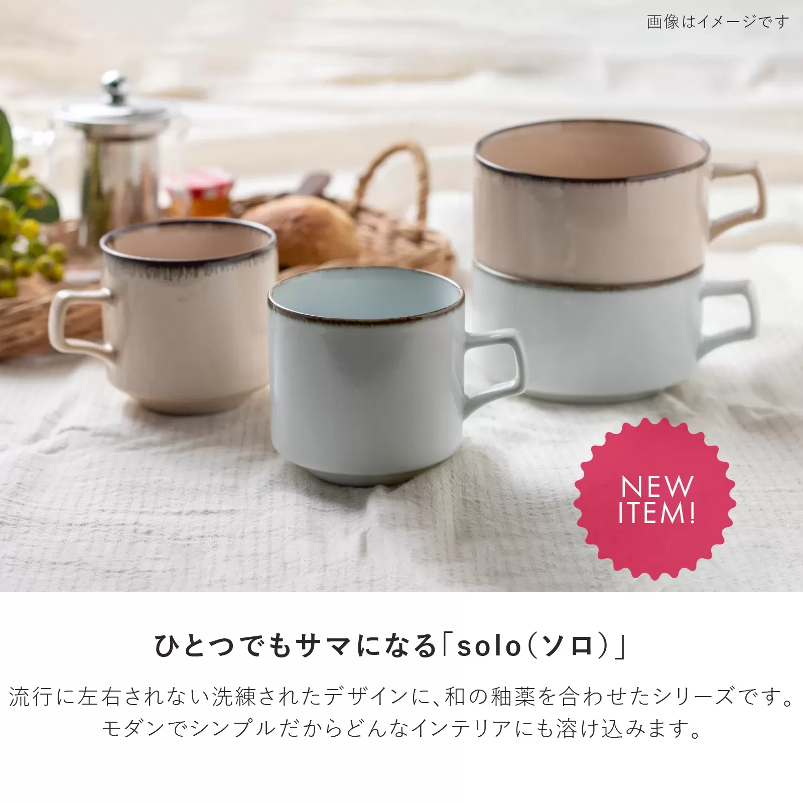 solo　230プレート